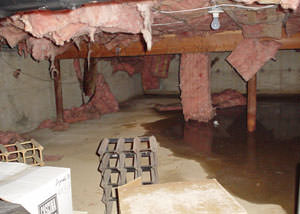 Fiberglass dripping off of the ceilings of a Great Neck crawl space
