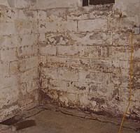 Peeling, Chipping, Basement Wall Coatings in Islip Terrace