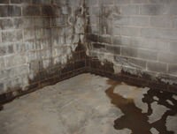 flooded basement with leaky basement walls in Islip Terrace, LI